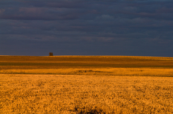 Sublime Saskatchewan Sunset